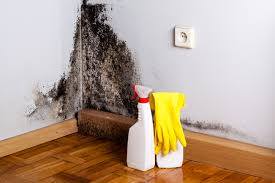 Best Mold Removal for HVAC Installations  in Beechwood Village, KY